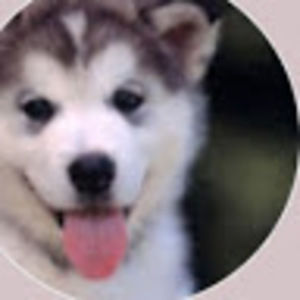 Meet your Posher, Marisol